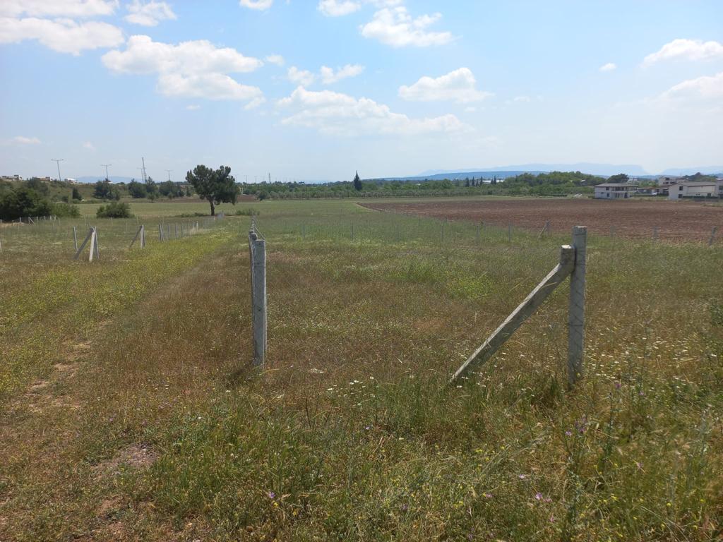 880,3 m2'lik ekilebilir arazi yakında inşaat arazisi haline getirilecek / doğrudan sahibinden