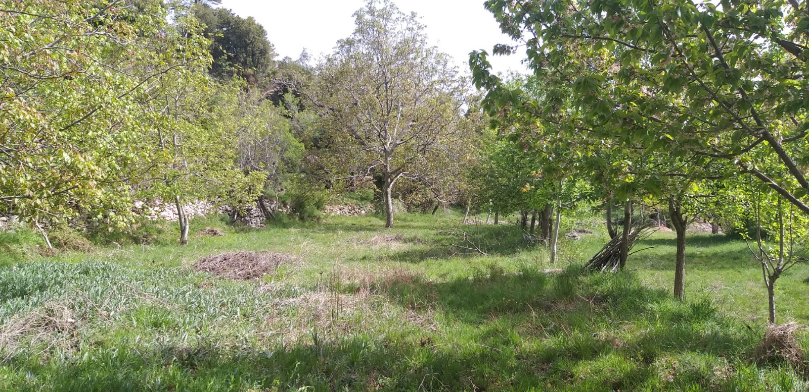 6308 sqm arable field will soon be building land / Direct from the owner