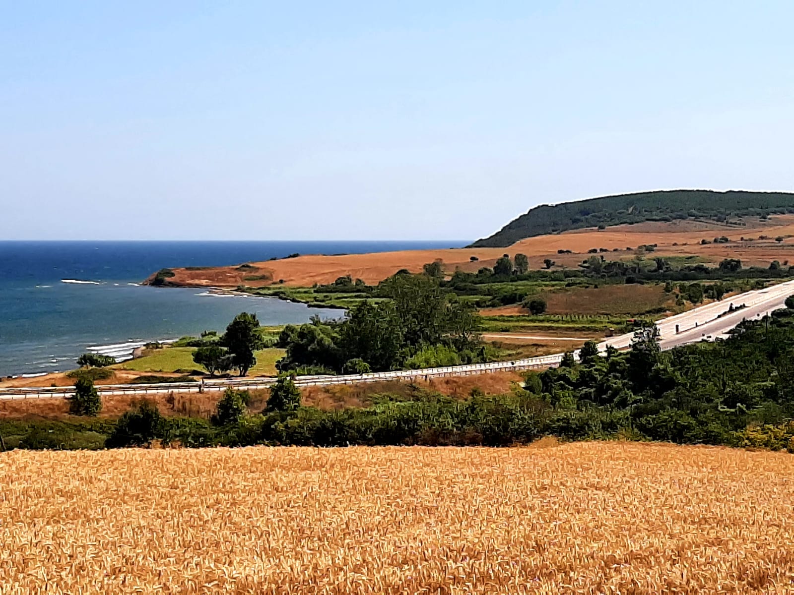 3,525 sqm plot with full sea views, 250 meters to the sea / Direct from the owner.