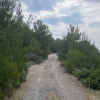 5533.14 m2 Generous plot of land for your individual project / DIRECTLY FROM THE STATE