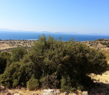 440 sqm building land for a villa with sea views / Direct from the owner
